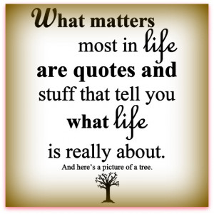 satire inspirational quote what matters most reedster