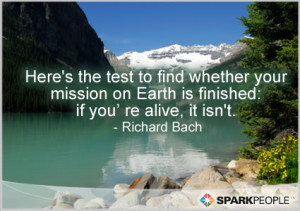 Quote - Here’s the test to find whether your mission on Earth ...