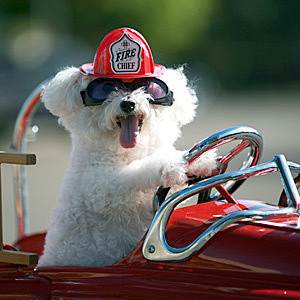 My dad used to say 'Always fight fire with fire,' which is probably ...