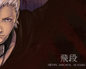 ... the Other wallpaper named Hidan. It has been viewed 289599 times