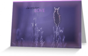 Lavender Love ©