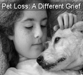 different grief helping you and your children with pet loss pet ...