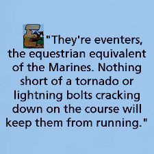 Eventing rules- once lightning did strike while i was riding, right ...