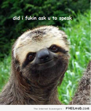 Did I ask you to speak funny sloth – Hump day fun zone at PMSLweb ...