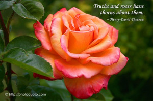 Sayings, Quotes: Maya Angelou
