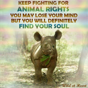 ... Animal Rights you may lose your mind but you definitely find your soul
