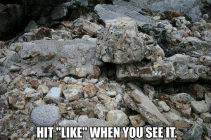Can You Spot the Sniper - Military humor