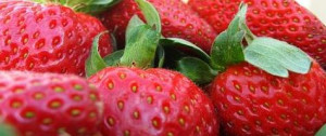 the world s biggest strawberry exporter 90 % of spain s strawberries ...