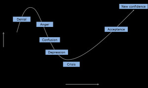 Change Management - Reactions to change