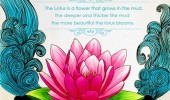 quotes sayings pictures 170x100 jpg the lotus flower life quotes ...