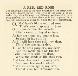 666 Red Rose Poem