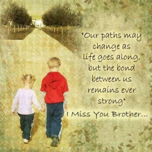 Our Path May Change as Life Quotes about Your Brother