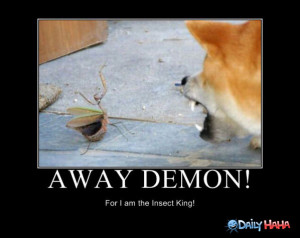 Away_Demon_funny_picture