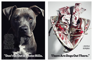 Pitbull Dog Tumblr Quotes Dogs-opener_thumb_w_580.jpg