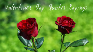 Happy Valentines Day Quotes Sayings for Him Her Girlfriend Lover