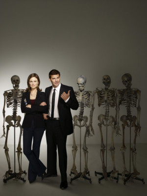 Bones: Season 2 and 3