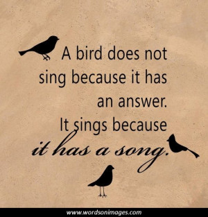 Bird quotes