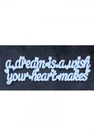 dream is a wish your heart makes plaque