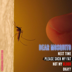 ... =http://www.pics22.com/dear-mosquito-funny-quote/][img] [/img][/url