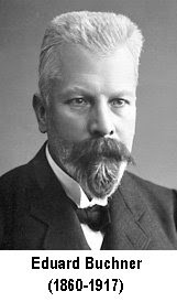 The Nobel Prize in Chemistry 1907.