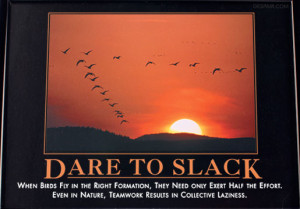 By Mike on February 3, 2010 at 6:02 pm | In Blog Posts | 1 Comment