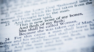 My Take: The Bible really does condemn homosexuality