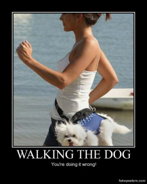 Walking The Dog - Demotivational Poster
