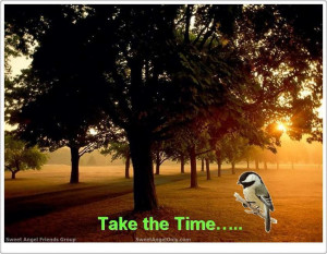 Click on the Image for Larger View