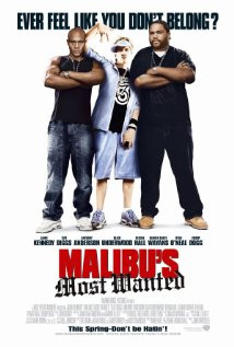 Malibu's Most Wanted (2003) Poster