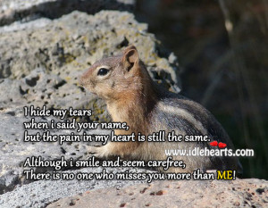 hide my tears when i said your name, but the pain in my heart is ...