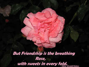 But Friendship Is The. Faith Based Quotes About Life. View Original ...