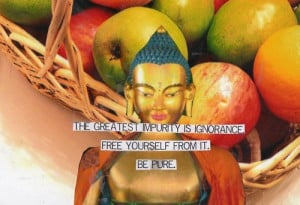 Buddha, quotes, sayings, pure, ignorance, positive