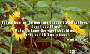 Bible Quotes Psalm 143:8 ESV