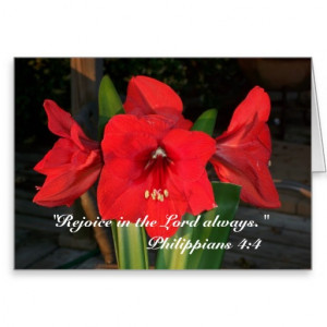 Amaryllis Blooms with Inspirational Bible Verse Cards