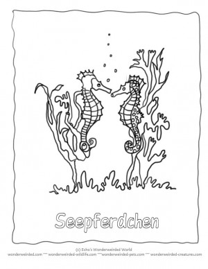 Seahorse Coloring Pages Ocean, Collection of Seahorse Pictures to ...