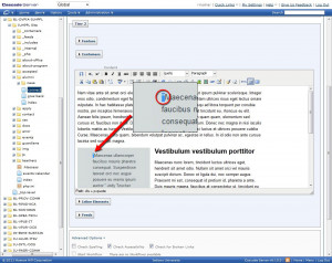 MLA Format: Parenthetical Citations