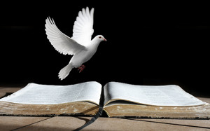Role of the Holy Spirit in Bible Study