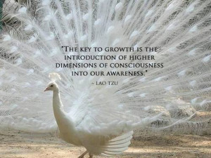 ... introduction of higher dimensions of consciousness into our awareness