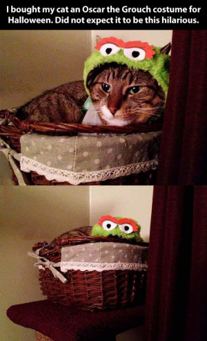 The best Oscar the Grouch costume…