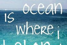 Marine biology / by Lanie Abbott