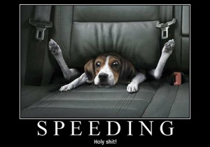 28 Exciting Funny Pictures With Sayings