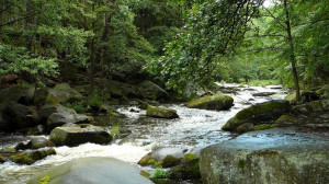 Uploaded to Pinterest