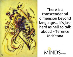 Terence Mckenna quote
