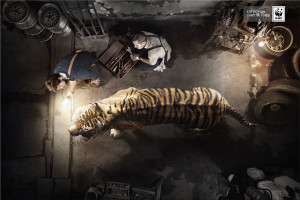 WWF: Extinction can't be fixed