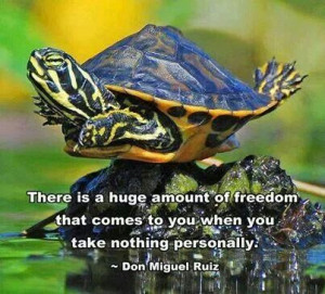 love this turtle as much as the quote!
