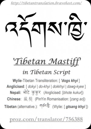 ་ , Tibetan Mastiff in Tibetan Language Script,Wylie-Tibetan ...