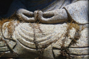 ... of others and coming back to taking one breath, one step at a time