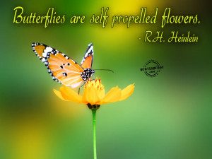 Butterflies are self propelled flowers ~ Flowers Quote