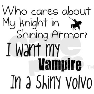 Knight in Shining Armor Hooded Sweatshirt - CafePress