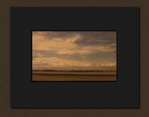 Tag Archives: margaret atwood quote